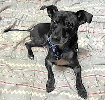 Photo of Maxy/Onyx