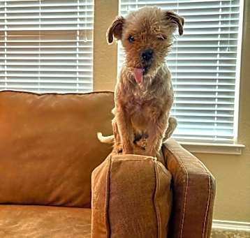 Photo of Annie