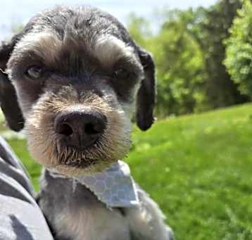 Photo of Fogerty