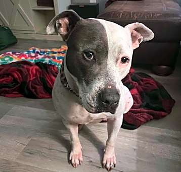 Photo of Ivy