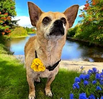 Photo of Ada