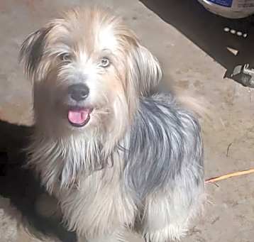 Photo of Sunny