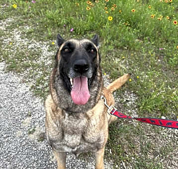 Photo of Kita