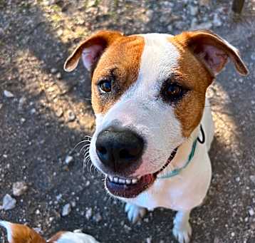 Photo of Sally 