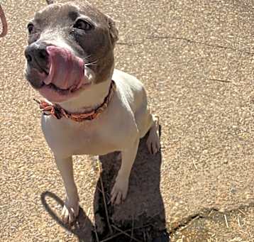 Photo of Mabel