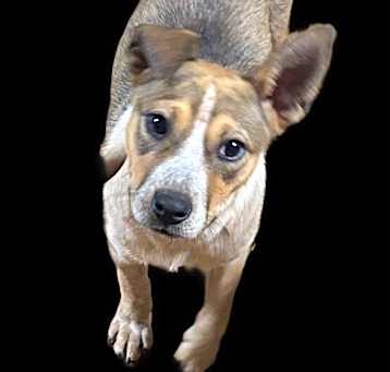 Photo of Buffy