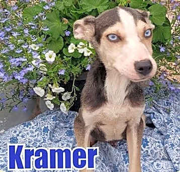 Photo of Cramer