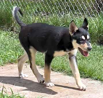 Photo of Hugo