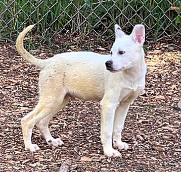 Photo of Harpo