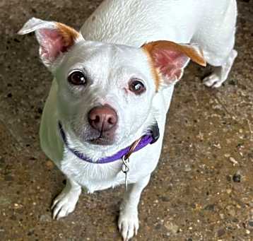 Photo of Ms. Small