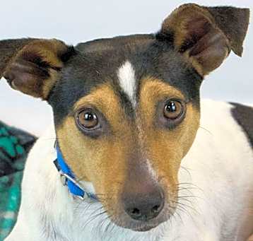 Photo of Ralph