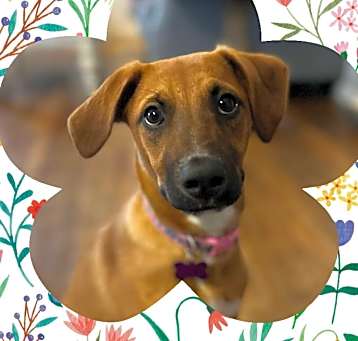 Photo of Maggie