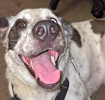 Photo of Waylon