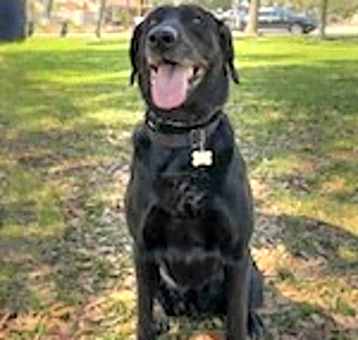 Photo of Lizzy Sue