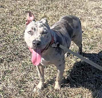 Photo of Cleo