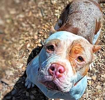 Photo of MOLLY