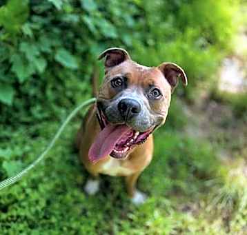 Photo of MUZZ