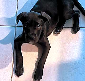 Photo of Cindy