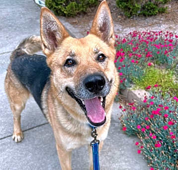 Photo of Hopper