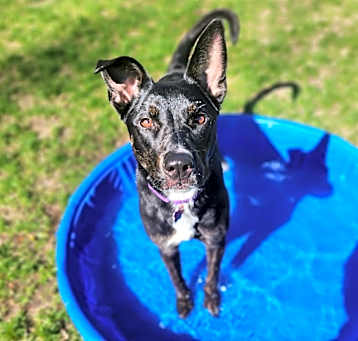 Photo of Zada