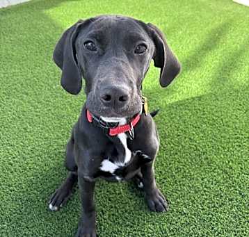 Photo of Ernie