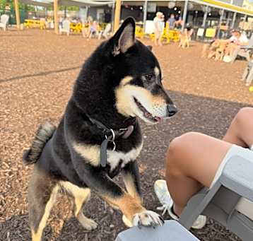 Photo of Moka