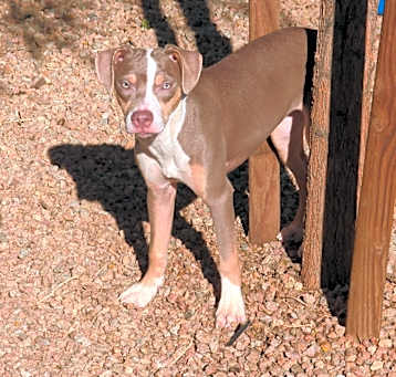 Photo of Sadie-Grace