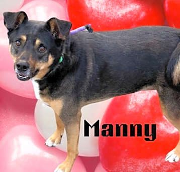 Photo of Manny
