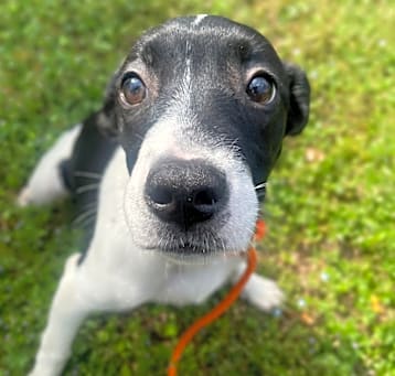 Photo of Fiona