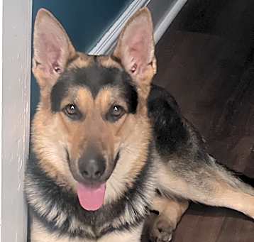 Photo of Ceaser