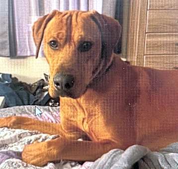 Photo of Tuff