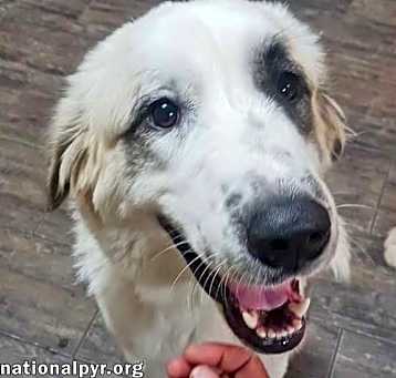 Photo of Maggie in LA - A Super Playful Girl!