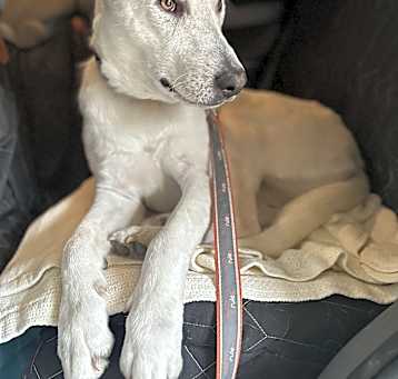 Photo of Lila
