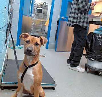 Photo of ROXY