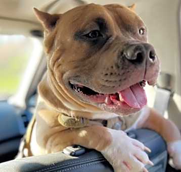 Photo of Zeus
