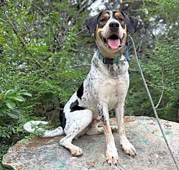 Photo of Zeus