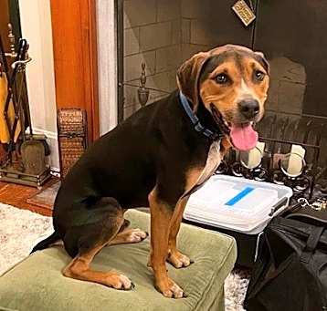 Photo of Pete