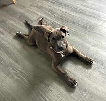 Photo of Louie           1505