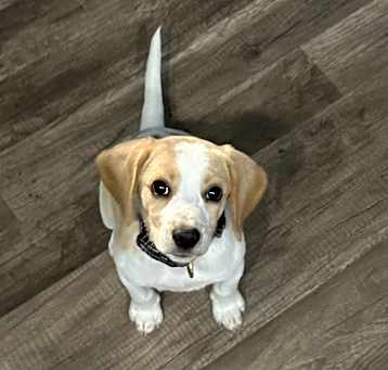 Photo of Charlie