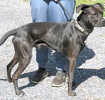 Photo of Grendel