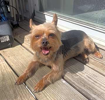 Photo of Jada