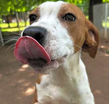 Photo of Harper