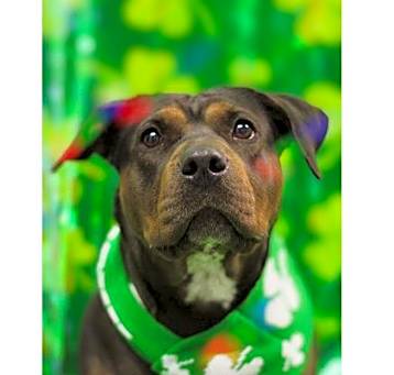 Photo of RAISIN
