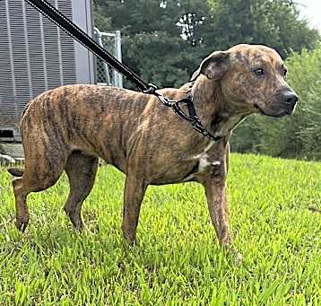 Photo of Ivy Jo