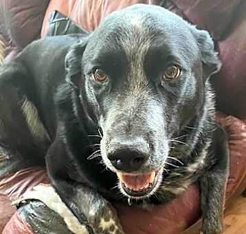 Photo of Jake
