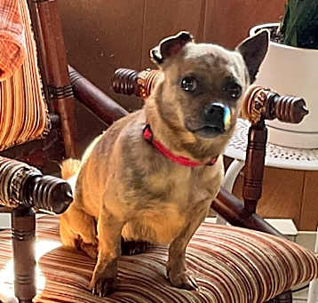 Photo of Addie
