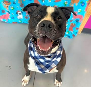 Photo of Beefcake