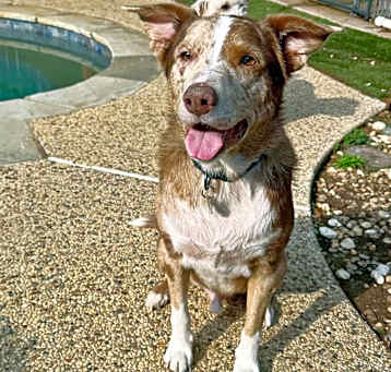 Photo of Tex