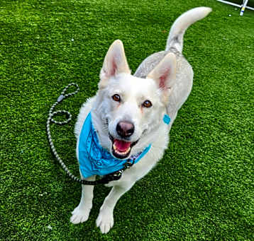 Photo of Aspen