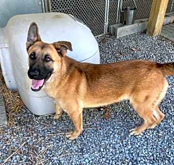 Photo of Drako